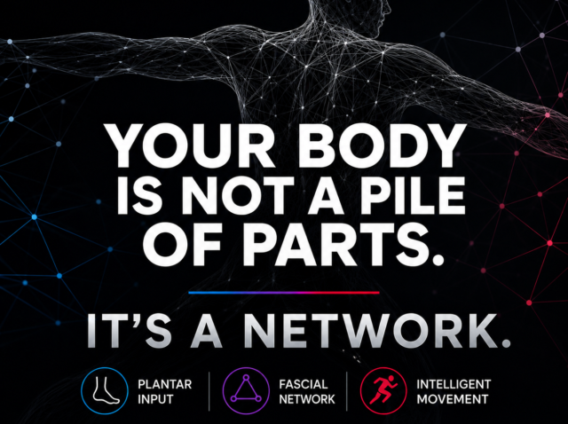 fascia-tensegrity-body-network-plantar-input-intelligent-movement-q-technology